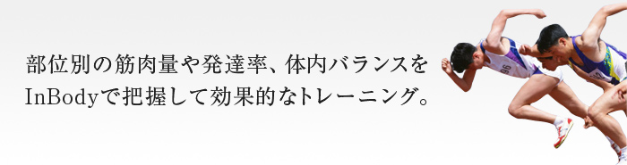 部位別の筋肉量や発達率、体内バランスをInBodyで把握して効果的なトレーニング。