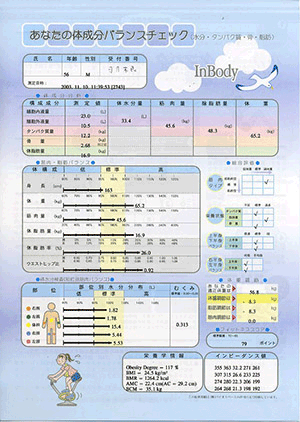 inbody3_sheet